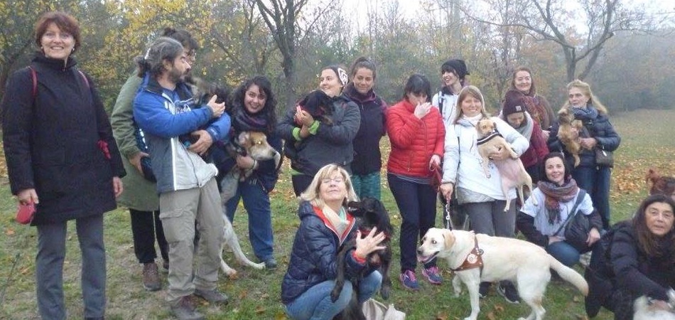 Passeggiata con i nostri amici a quattro zampe