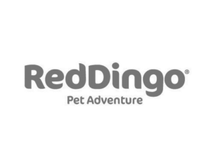marchio Red Dingo
